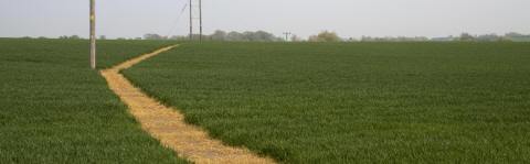 Nearer Badingham than Framlingham