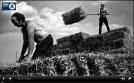 Ask The Fellows Who Cut The Hay ~ pic contributed