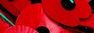 Poppy Appeal