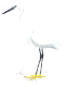 Little Egret - pic contributed