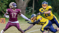 Ipswich Cardinals 38-00 Norwich Devils