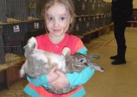 Katelyn Potter with her winning pet rabbit ~ pic by Anne Nicholls