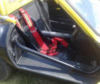 Nice strong cage and door bar