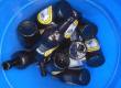 Earl Soham empties