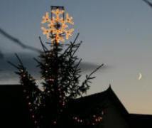 The tree and the moon