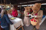 Alde Valley Spring Festival 2016