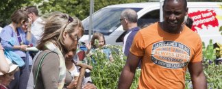 Helmingham plant sale