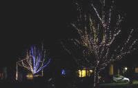 Hoxne Christmas lights