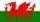 St David's Day