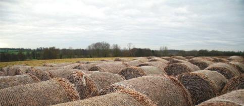 The view from a lower field at Church Farm