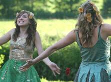 Fairies at the bottom of the garden