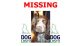 missing cocker spaniel Coco