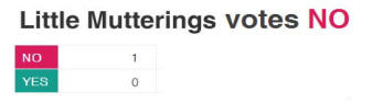 Little Mutterings votes NO
