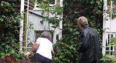 Mirrored garden in Hackney