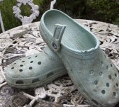 Fox chewed crocs