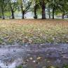 London Fields Hackney