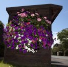 Floral Rustington bus shelter Floral Rustington bus shelter