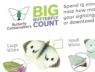 Big Butterfly Count