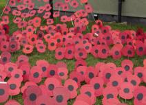 Parham Airfield Museum poppies