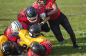 UEA Pirates 30-06 Cardiff Cobras