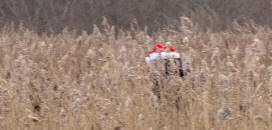 Youngster waiting for Daddy Christmas at the Snape Maltings