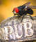 The Angry Fly