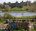 A Suffolk Allotment