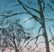 Norfolk Moon by Steve Edwards