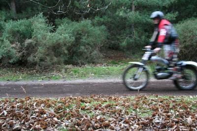 ... and a pleasant ride through the forest between sections